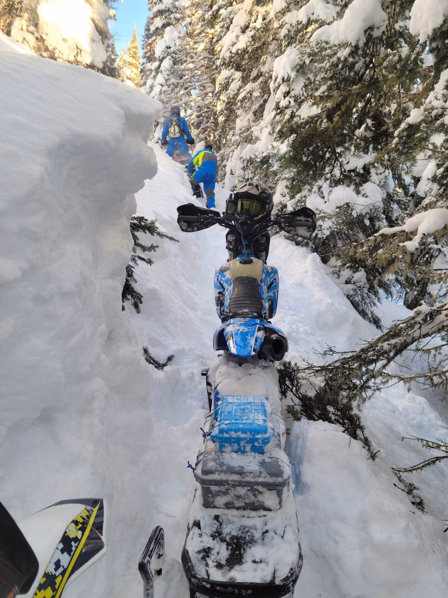 Gallery image 5 in snow 2025-01-01