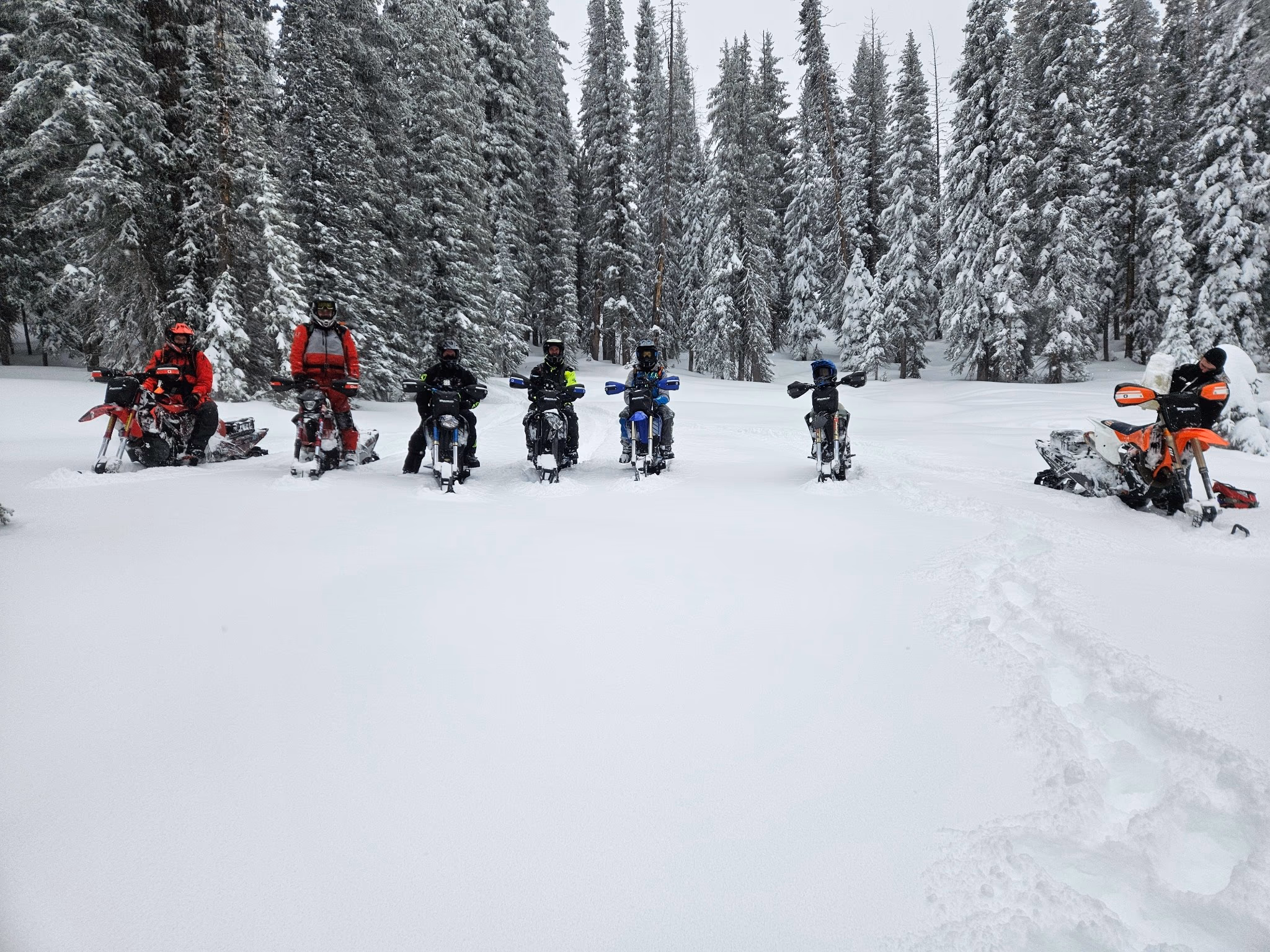 Gallery image 6 in snow 2025-01-01