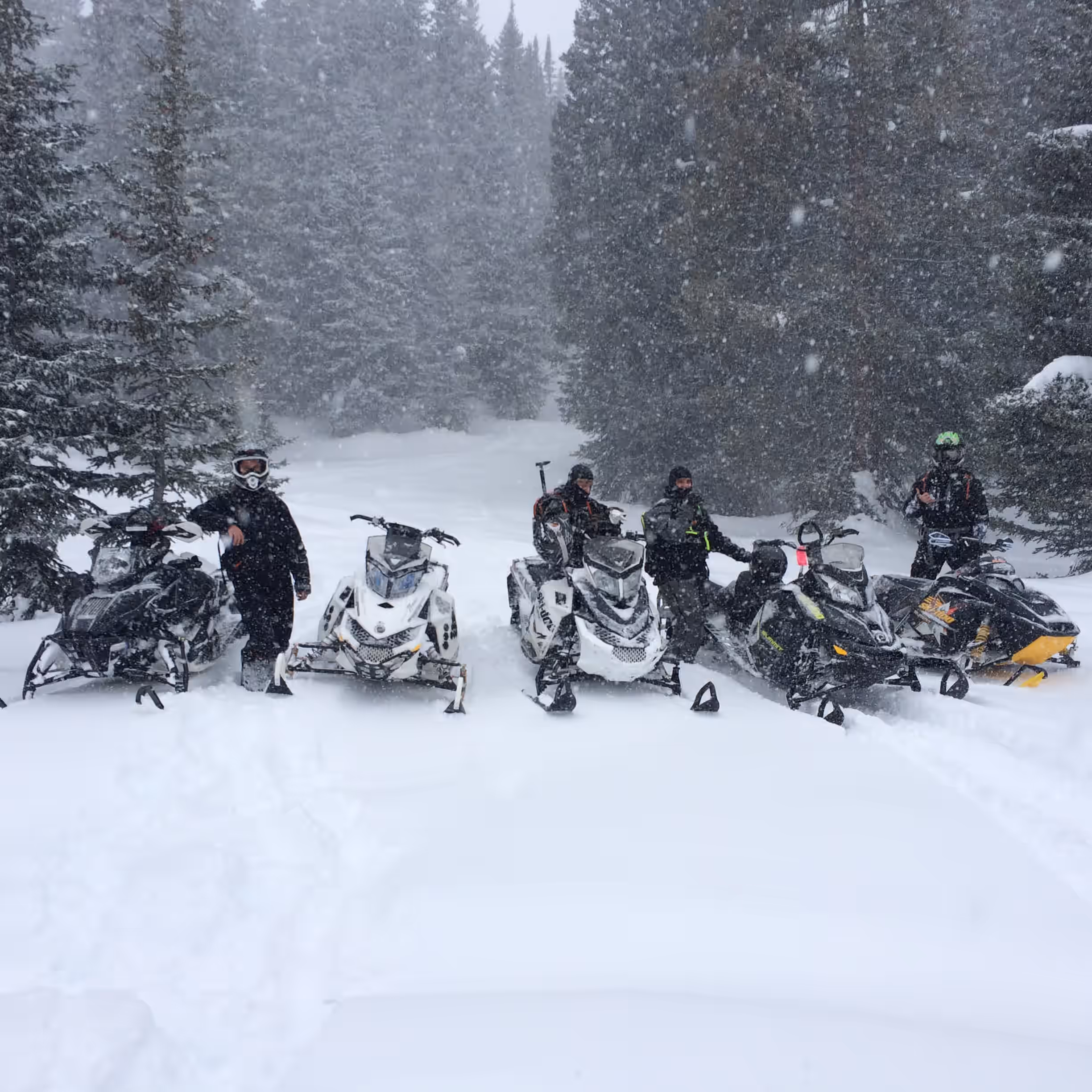 Custom powersports builds and project showcases