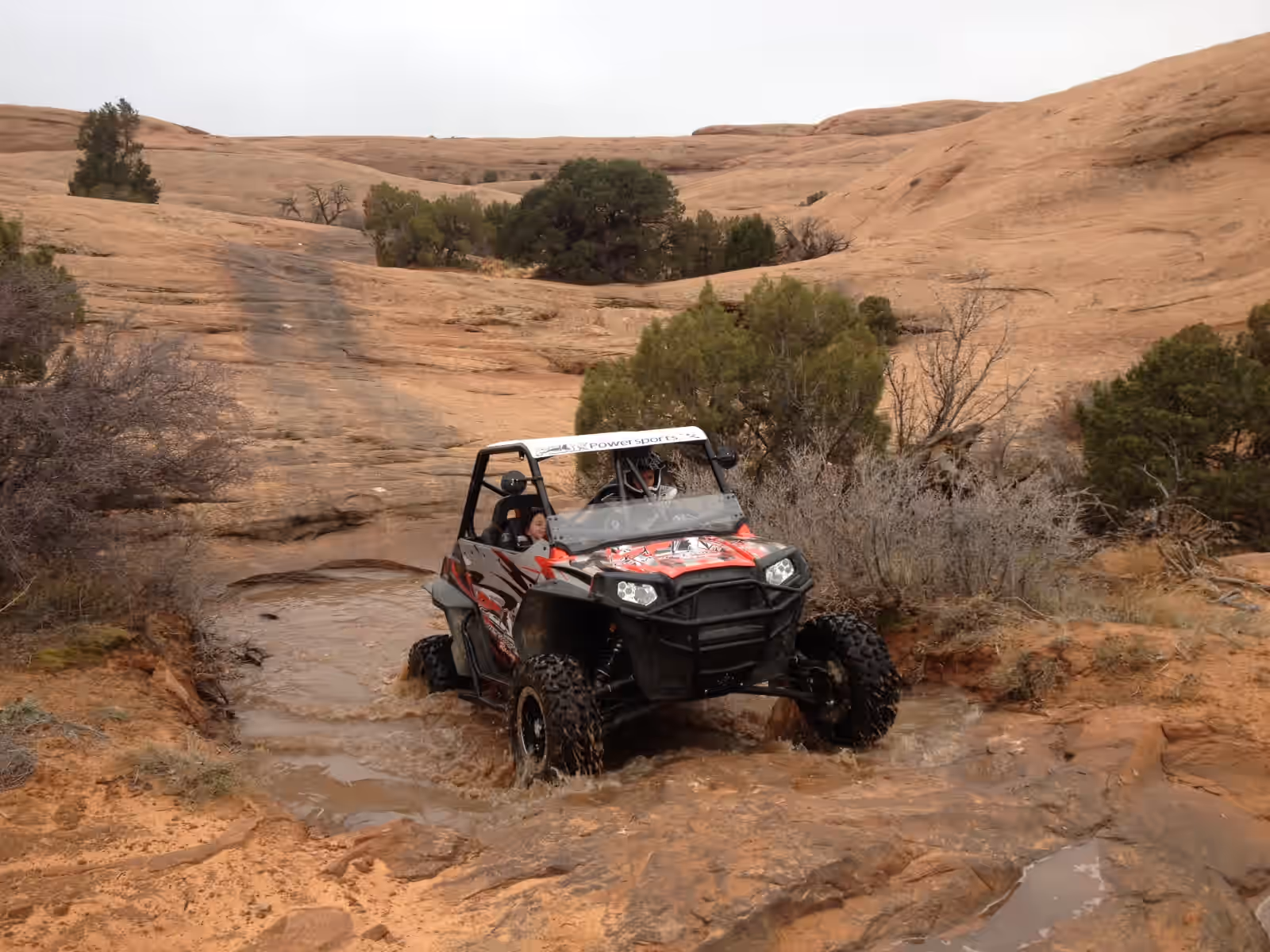 From thrilling adventures to lasting friendships