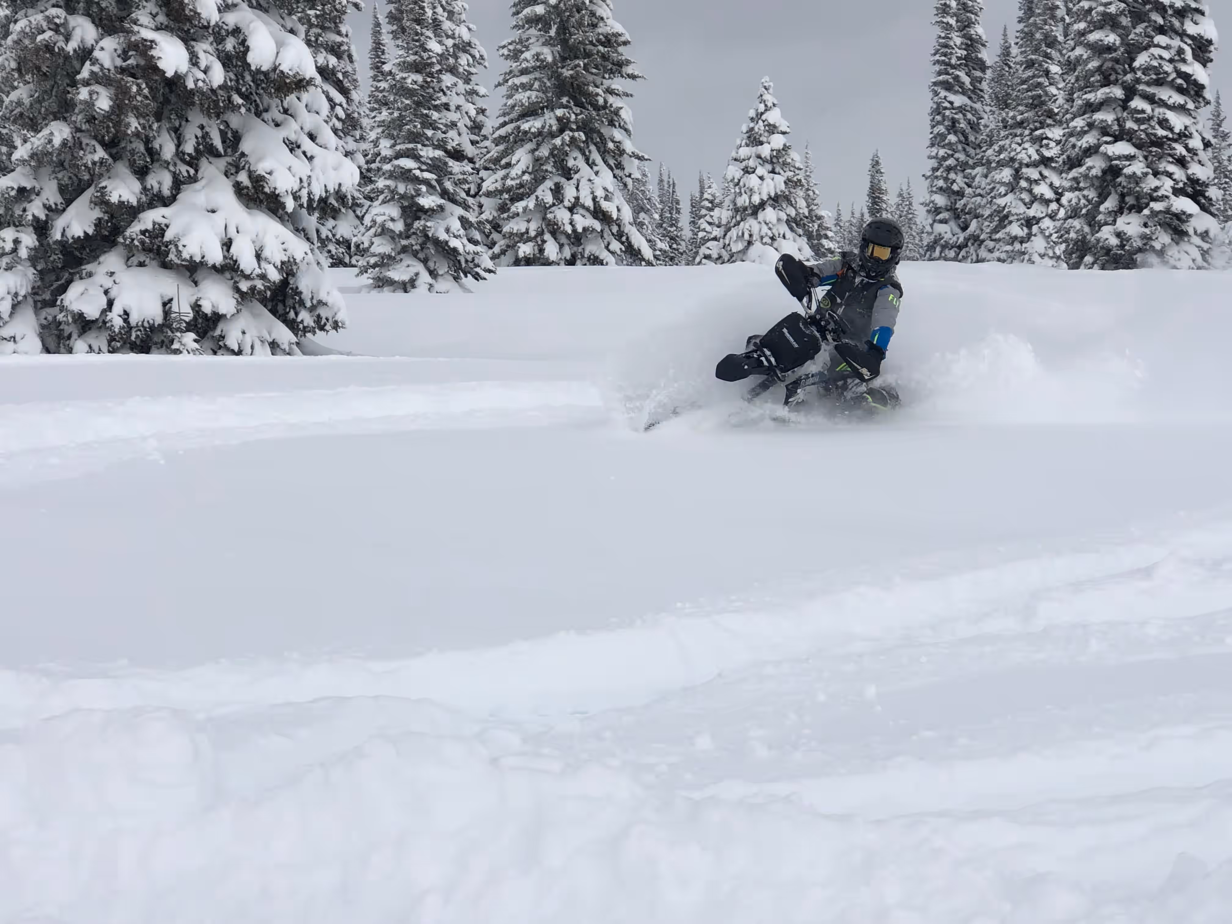 Professional repair services for powersports vehicles